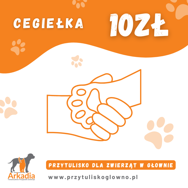 Cegiełka 10 zł